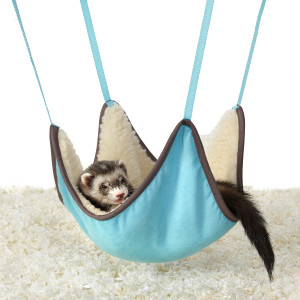 petsmart cat hammock