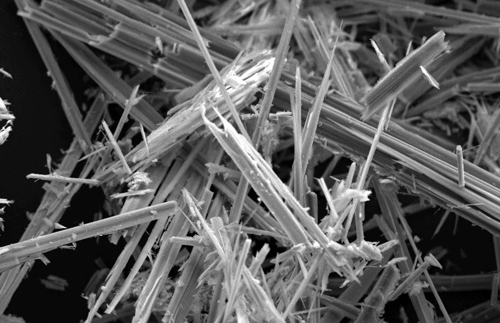 asbestos cherry health Wyoming / Kentwood Now